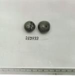 Click for 1 image(s) for this accession. FRUIT